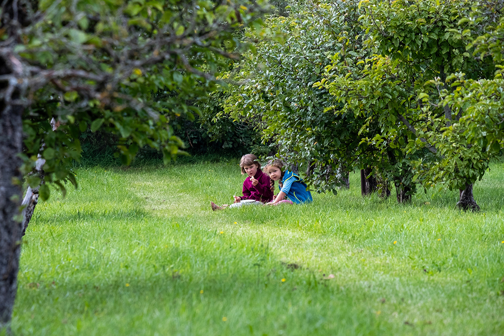 Beim Hof- und Kelterfest auf Gut Hausen: Zwei Kinder sitzen zwischen den Apfelbaumreihen.