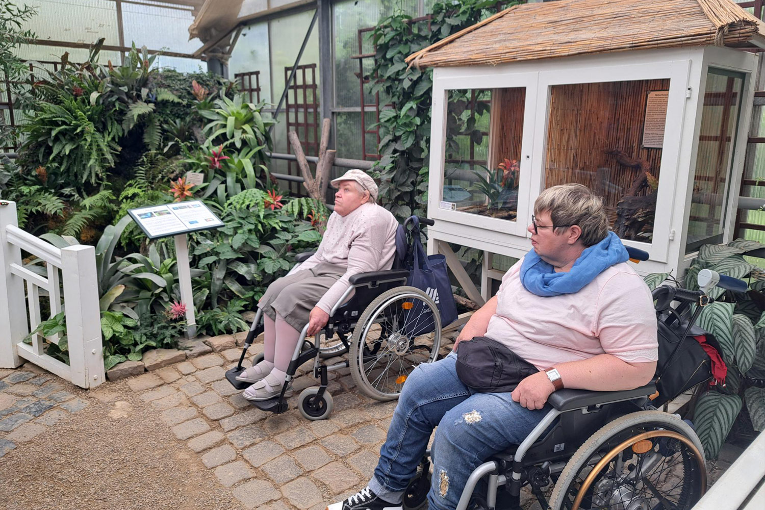 Besuch im Schmetterlings-Haus.