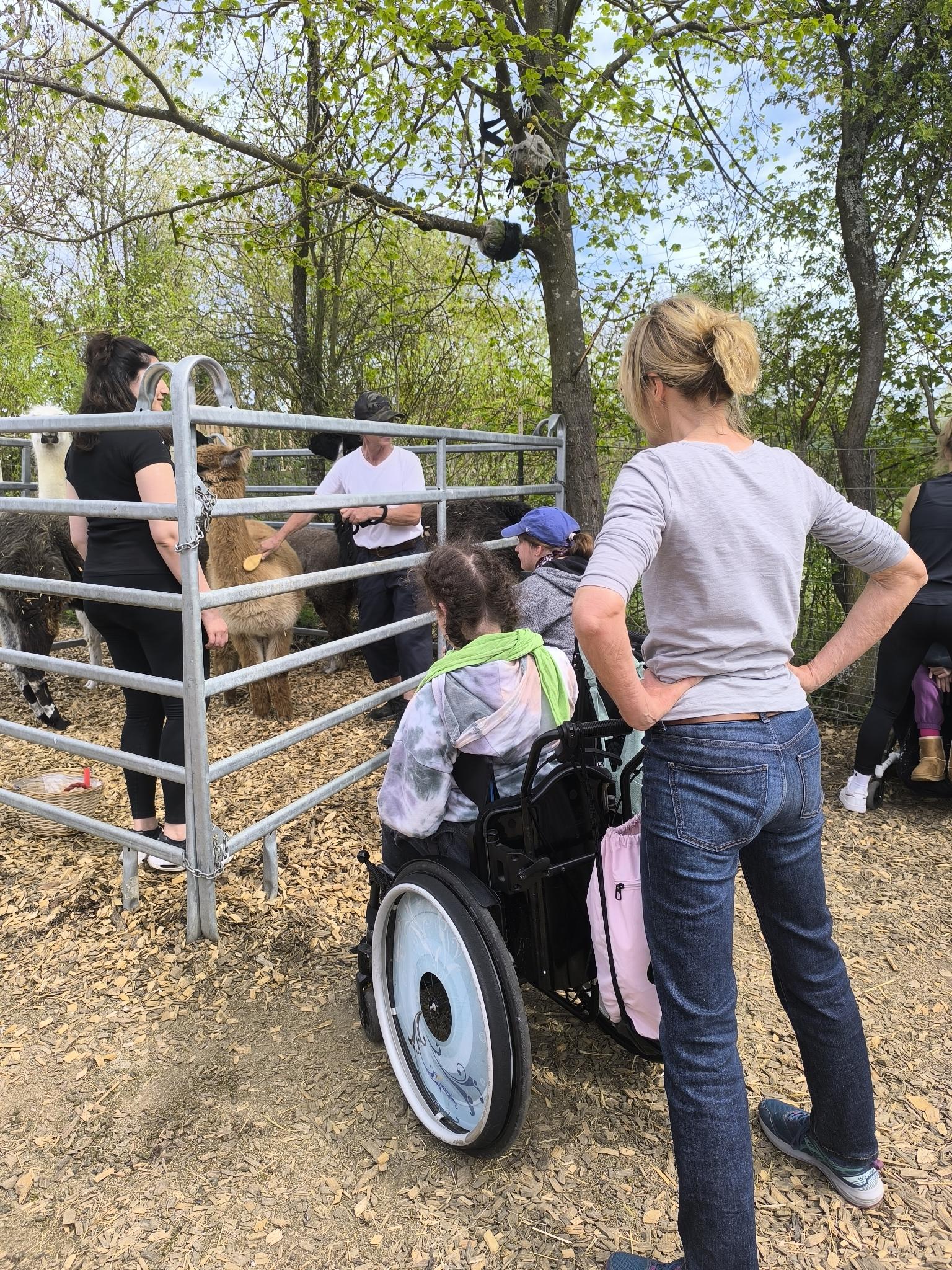 Assistenz und Urlauberinnen gucken sich gemeinsam die Lamas an.